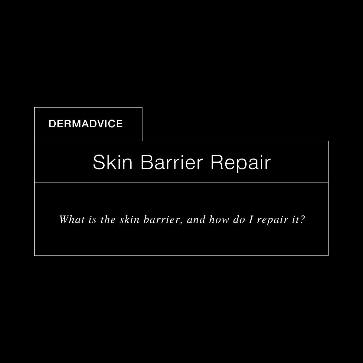 DermExcel | Skin Barrier Repair by Dermal Health Science