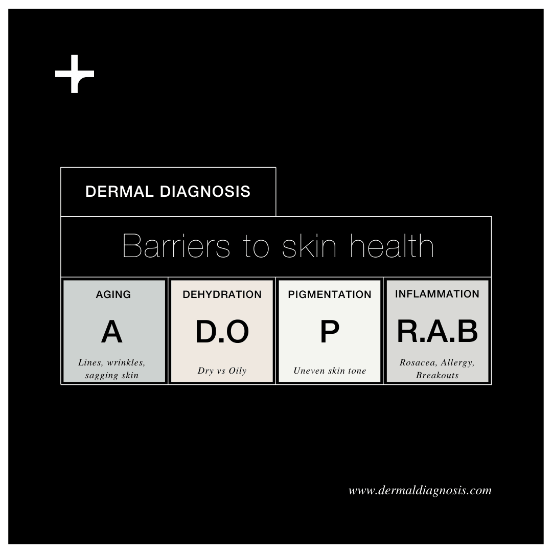 DermExcel™ | Determine Your Correct Skin Type